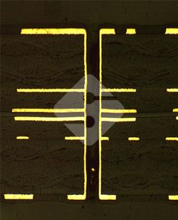 a8国际(股份)有限公司官网