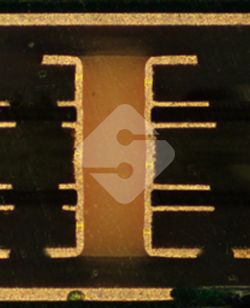 a8国际(股份)有限公司官网